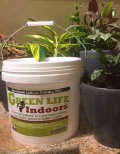 indoor potting mix